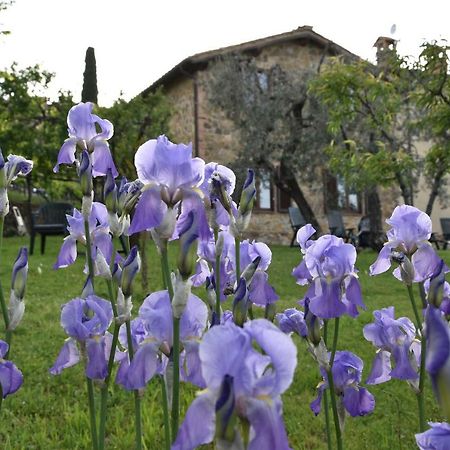 Casa Vacanze Porta Vecchia Montalcino Exterior foto