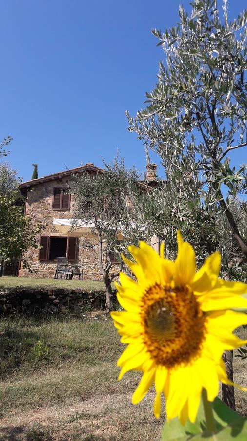 Casa Vacanze Porta Vecchia Montalcino Exterior foto