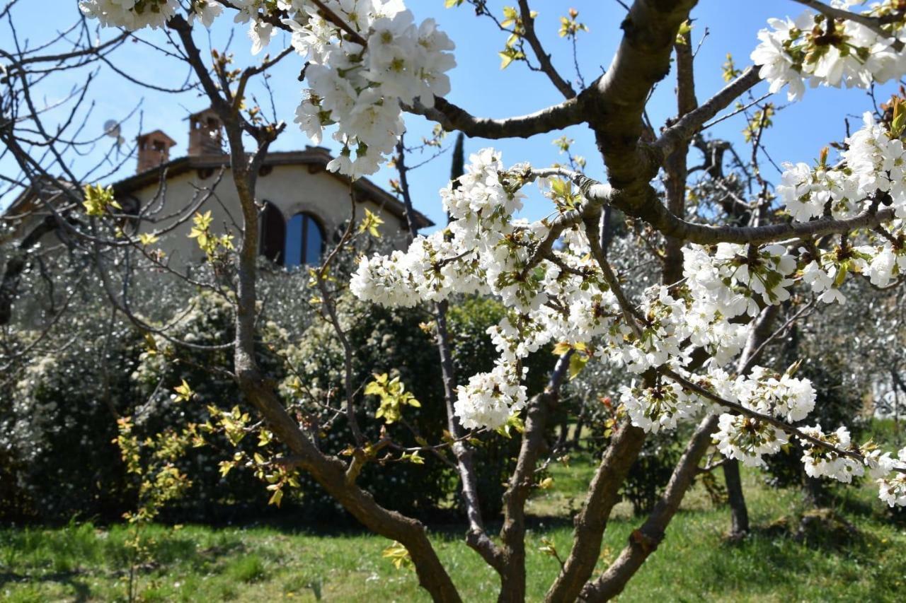 Casa Vacanze Porta Vecchia Montalcino Exterior foto