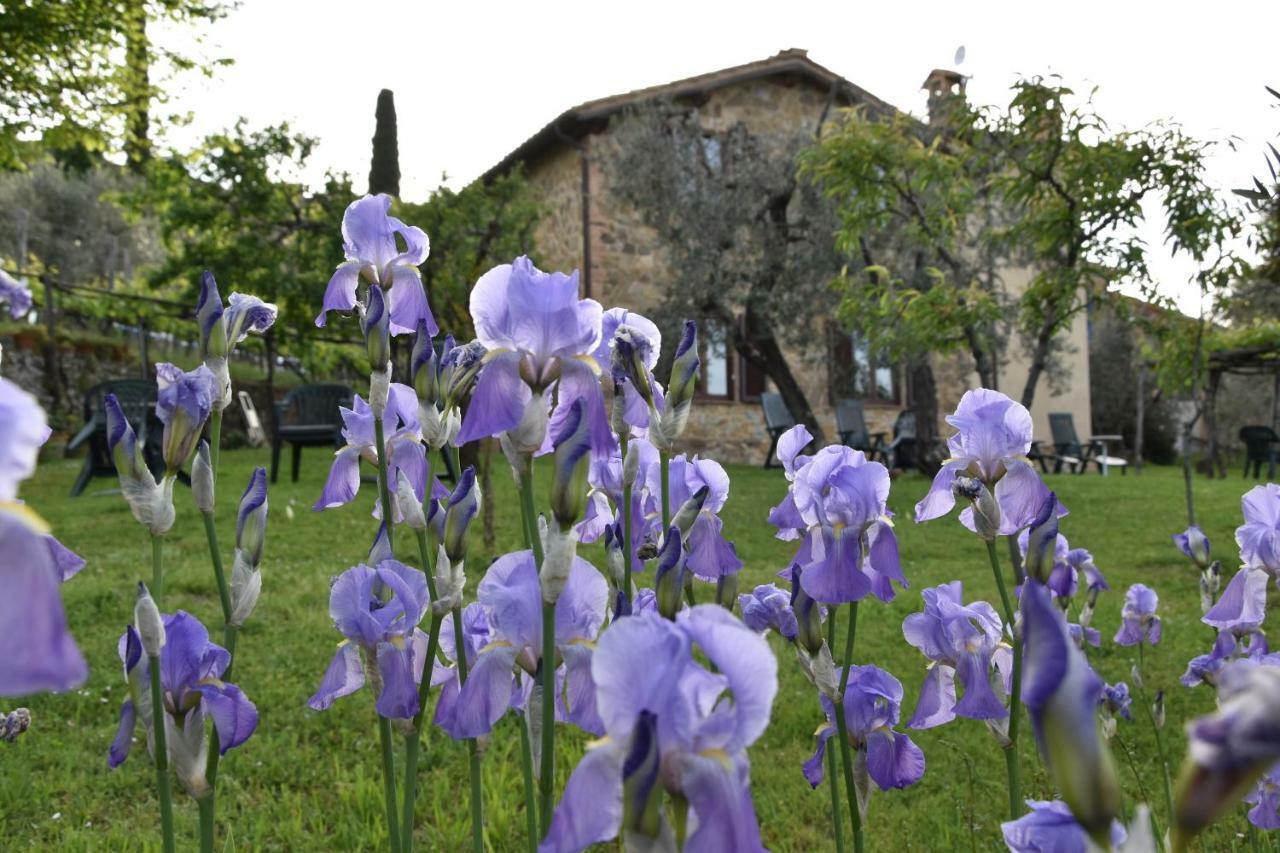 Casa Vacanze Porta Vecchia Montalcino Exterior foto